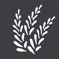 Wheatberry Books Wheatberry Books logo